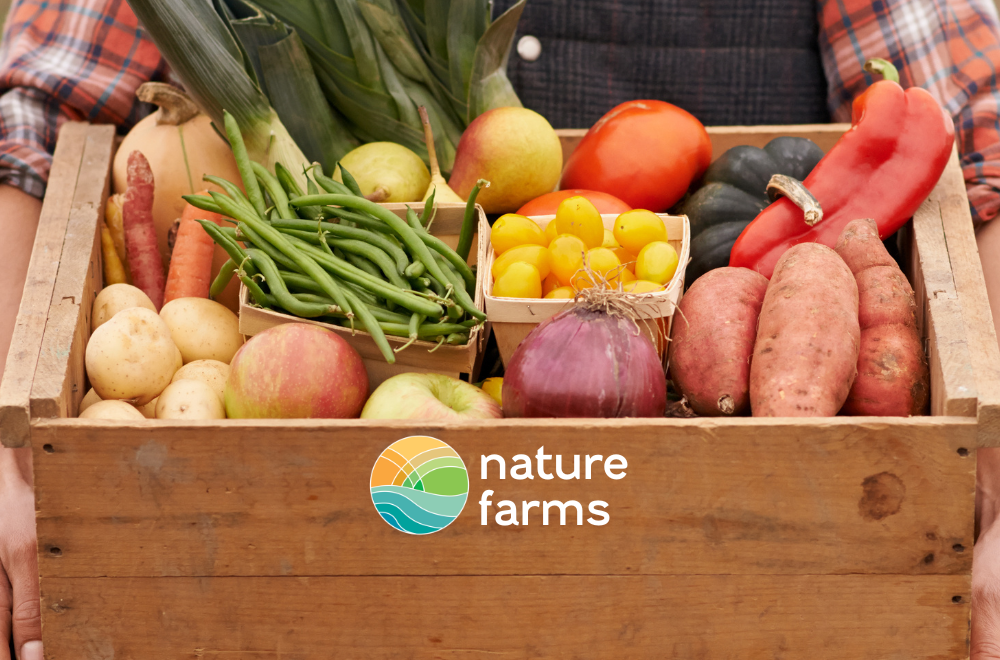 N.Farms Campaign 2