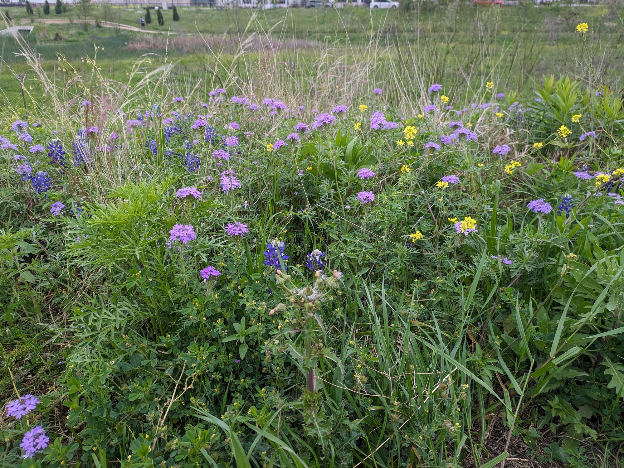 PXL_20240324_130055706.MP